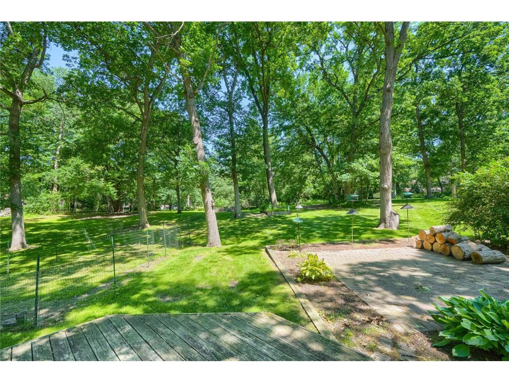 4696 126th Street N White Bear Lake MN 55110 - Bald Eagle 7080889 image32