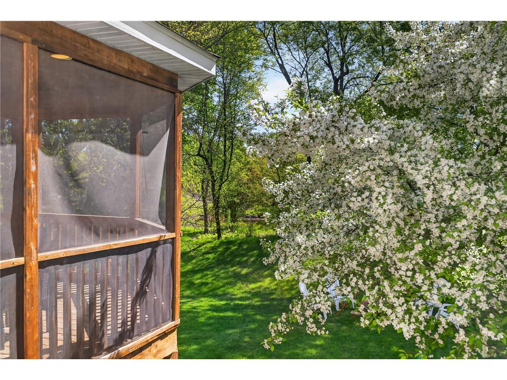 4696 Weston Hills Drive Eagan MN 55123 7074482 image19