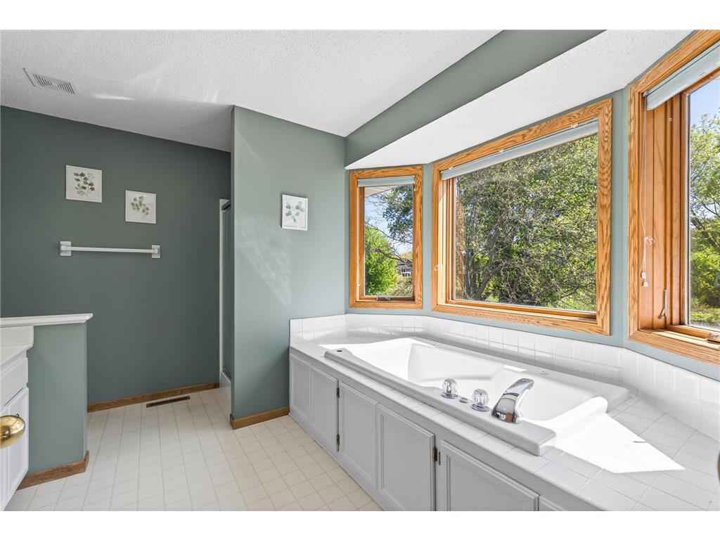 4696 Weston Hills Drive Eagan MN 55123 7074482 image38