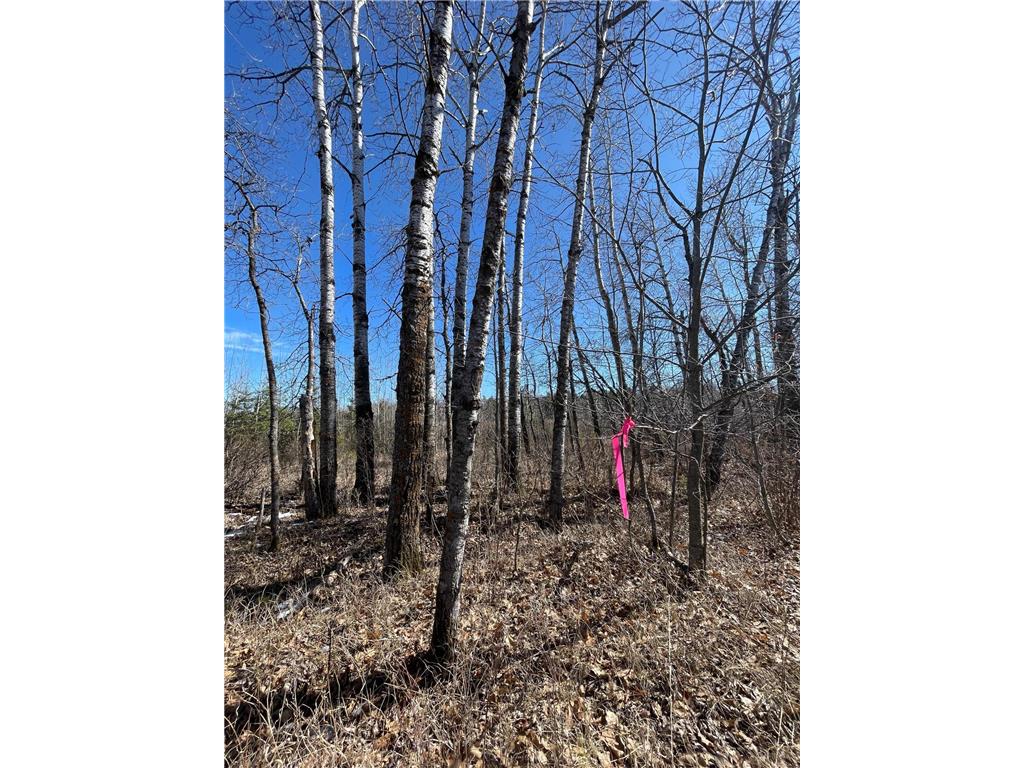 46962 Parcel B 269th Avenue Laporte MN 56461 6691568 image1