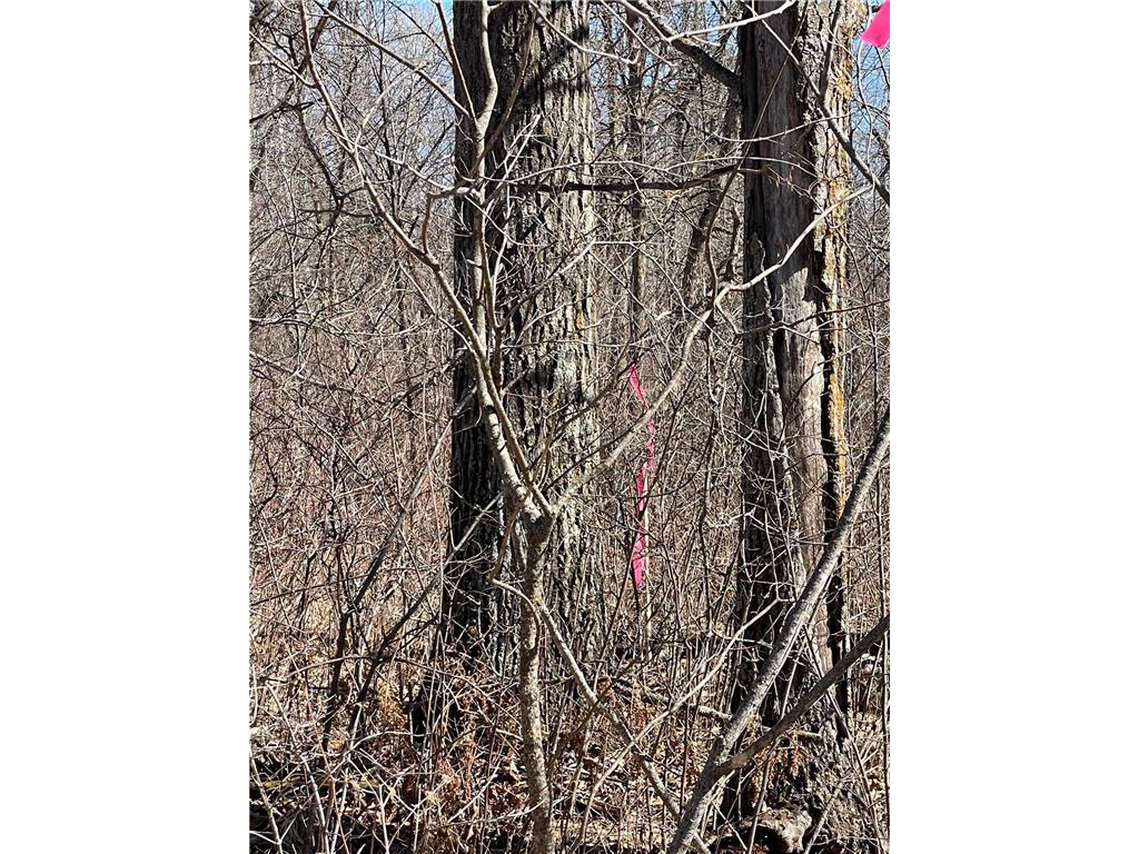 46962 Parcel B 269th Avenue Laporte MN 56461 6691568 image10