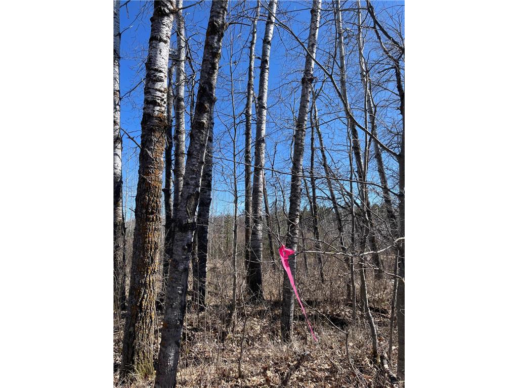 46962 Parcel B 269th Avenue Laporte MN 56461 6691568 image11