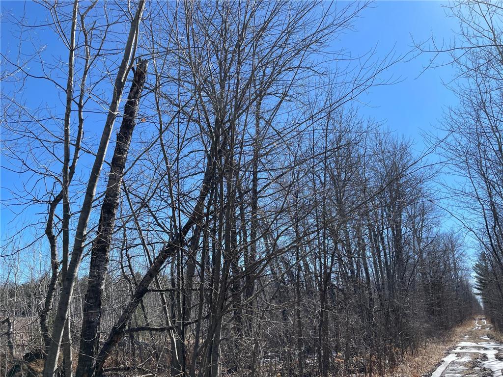 46962 Parcel B 269th Avenue Laporte MN 56461 6691568 image3