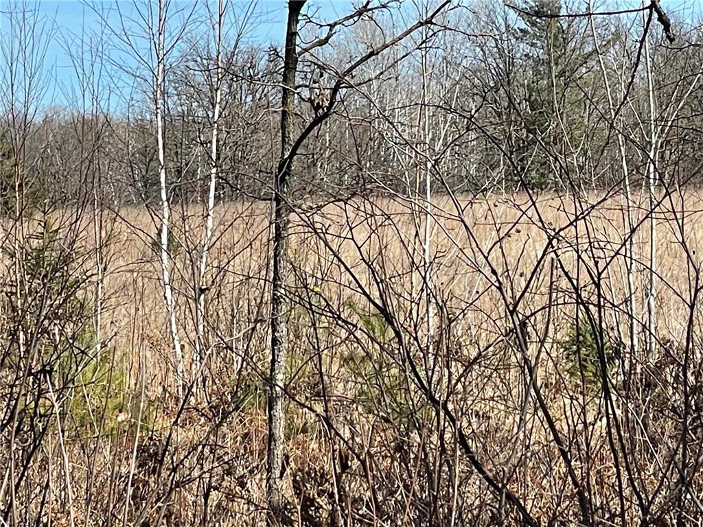 46962 Parcel B 269th Avenue Laporte MN 56461 6691568 image4