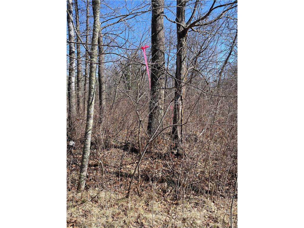 46962 Parcel B 269th Avenue Laporte MN 56461 6691568 image6