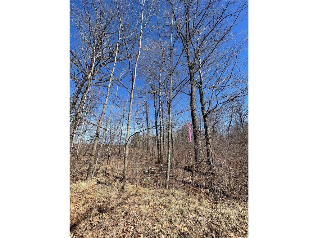 46962 Parcel B 269th Avenue Laporte MN 56461 6691568 image7