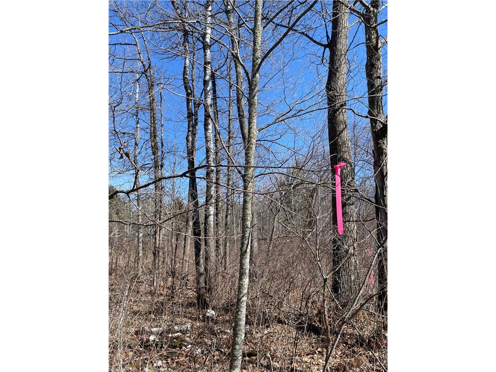 46962 Parcel B 269th Avenue Laporte MN 56461 6691568 image8