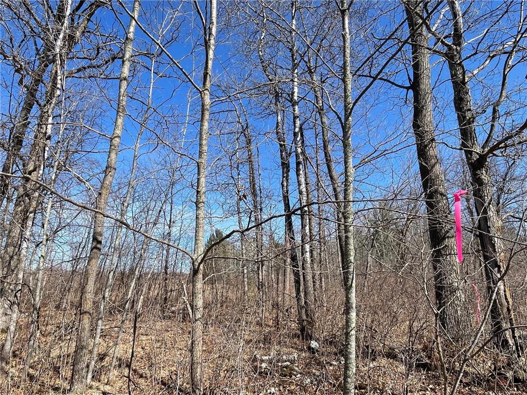 46962 Parcel B 269th Avenue Laporte MN 56461 6691568 image9