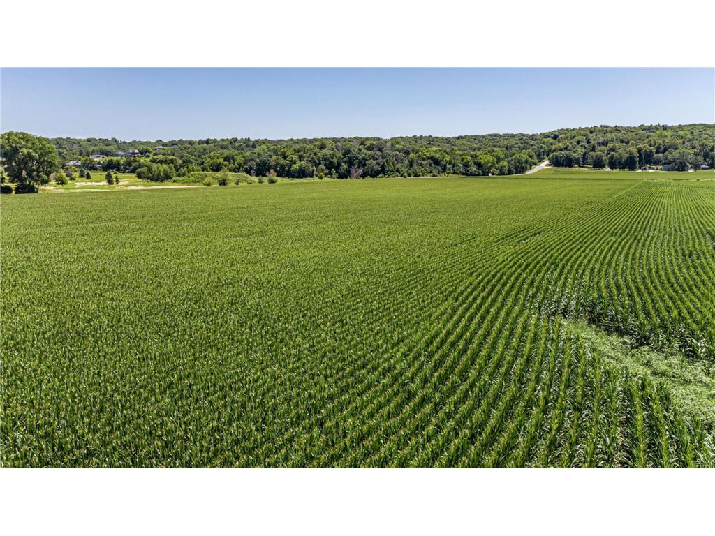 4700 Country Club Road SW Rochester Twp MN 55902 7090619 image3