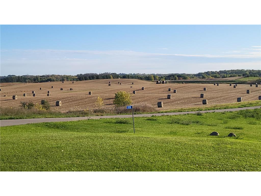 4700 Dent Avenue Webster MN 55088 6797108 image49