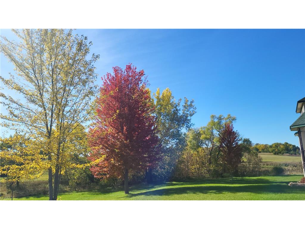 4700 Dent Avenue Webster MN 55088 6797108 image52