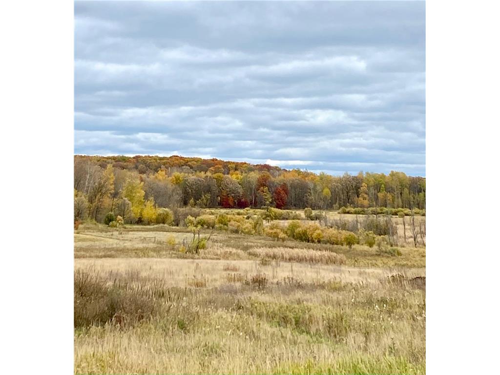 47006 County 9 Road, Staples, MN, 56479 MLS 6153334 Edina Realty