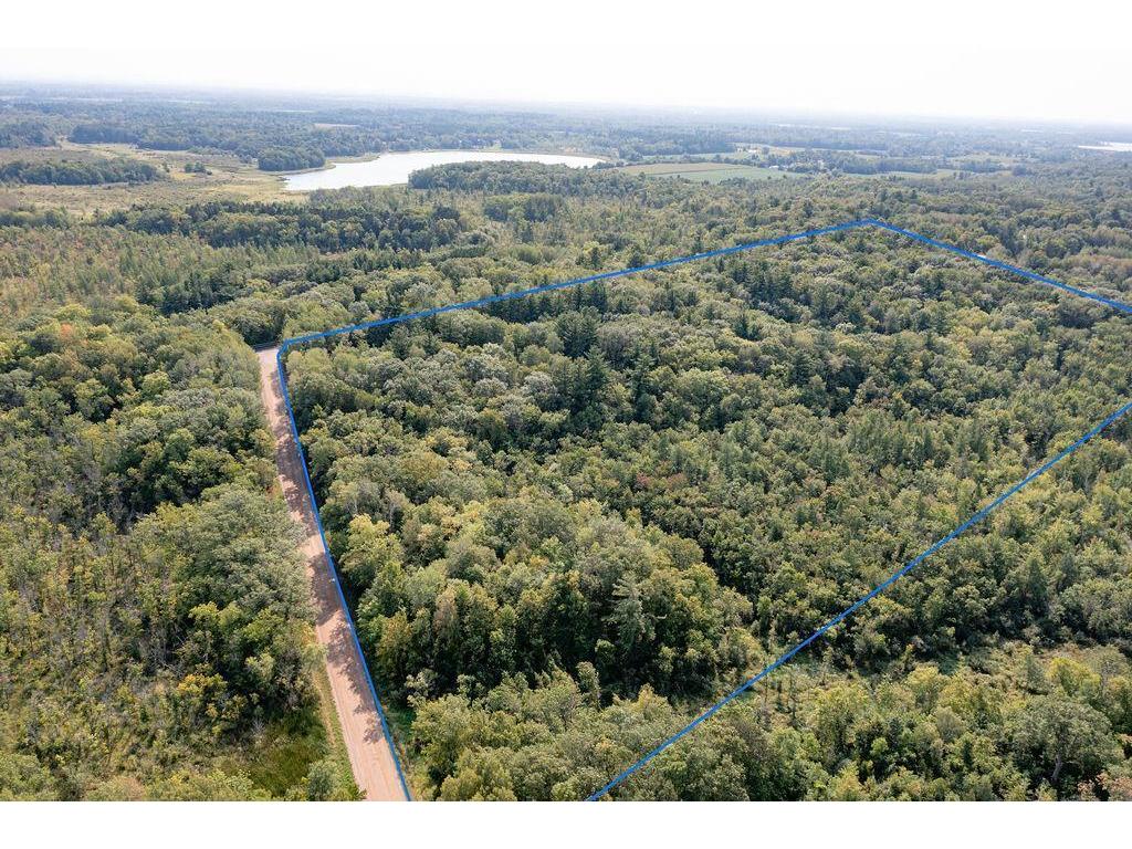 000 Goose Lake Narrows Trail Fish Lake Twp MN 55069 6372957 image1