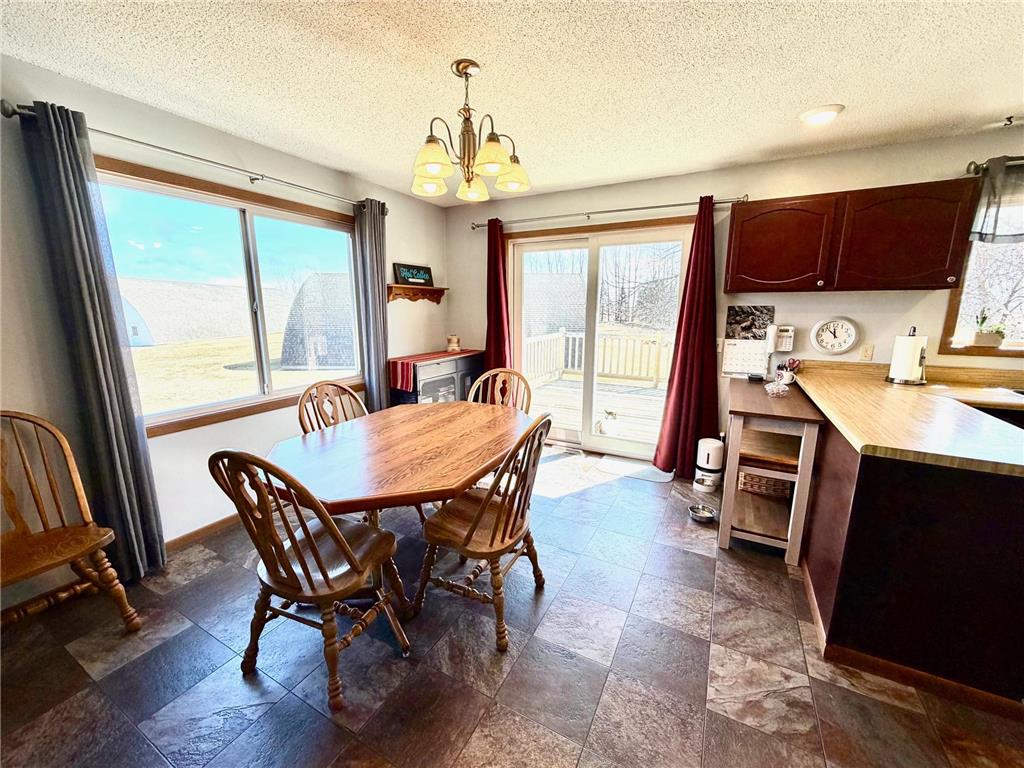 4703 210th Street Pelan Twp MN 56734 7056450 image19