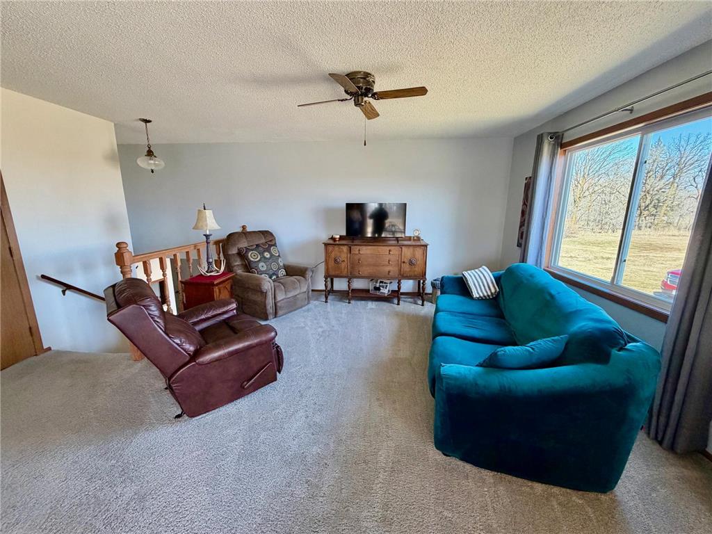4703 210th Street Pelan Twp MN 56734 7056450 image20