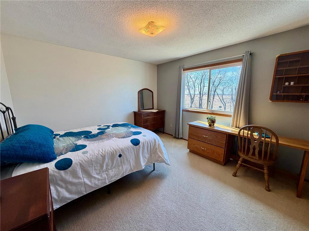 4703 210th Street Pelan Twp MN 56734 7056450 image21