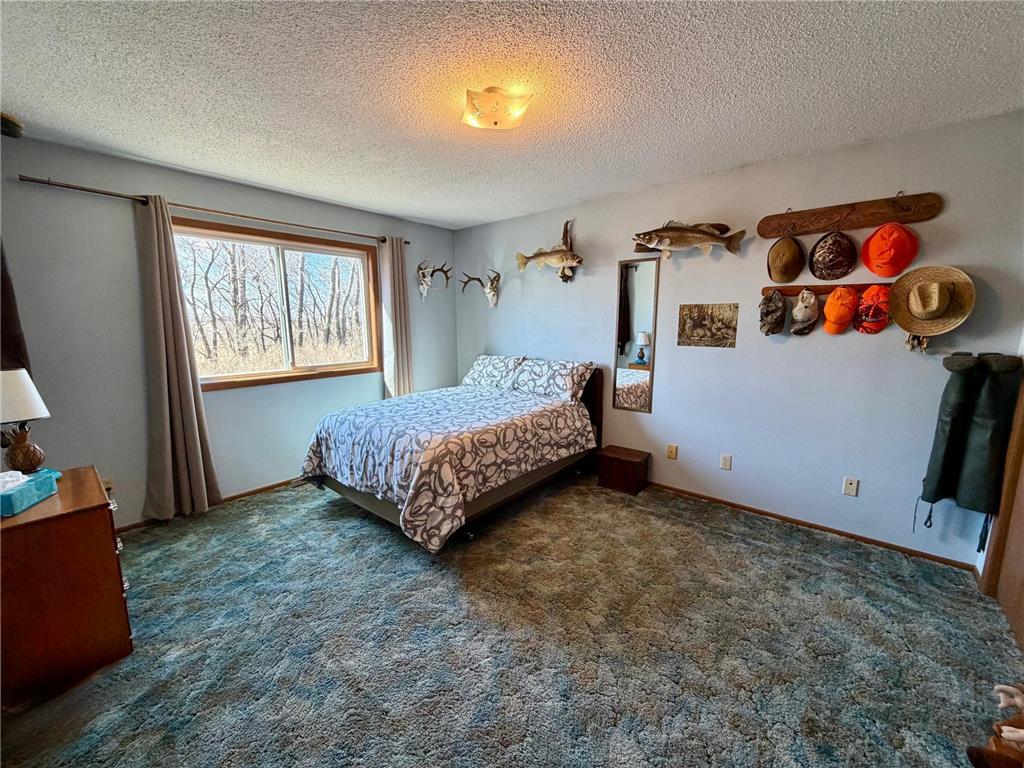 4703 210th Street Pelan Twp MN 56734 7056450 image22