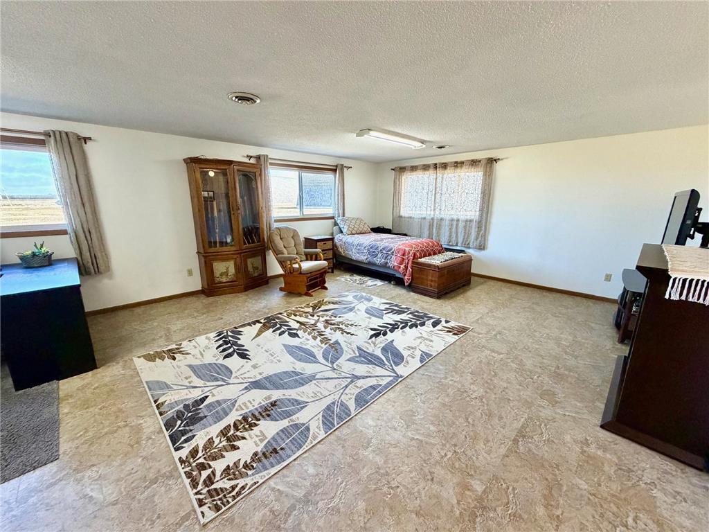 4703 210th Street Pelan Twp MN 56734 7056450 image24