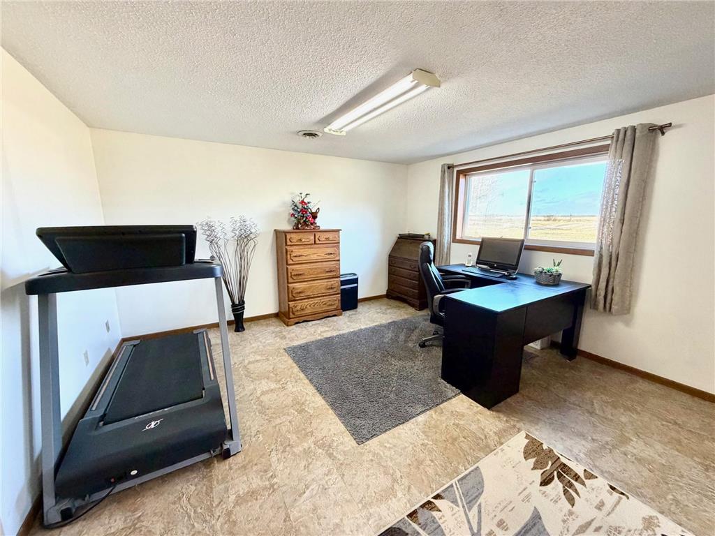 4703 210th Street Pelan Twp MN 56734 7056450 image25
