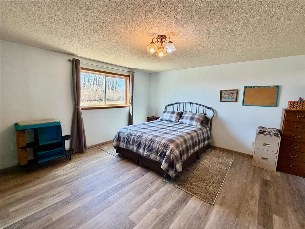 4703 210th Street Pelan Twp MN 56734 7056450 image26