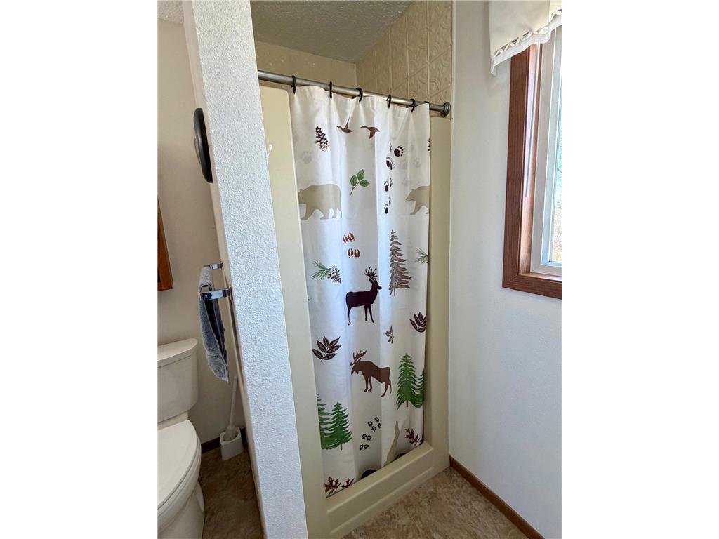 4703 210th Street Pelan Twp MN 56734 7056450 image29