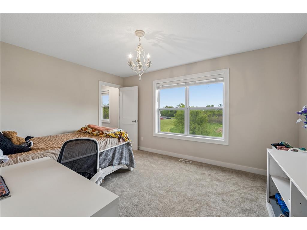 4704 S Lake Sarah Drive Independence MN 55359 - Sarah 7077893 image45