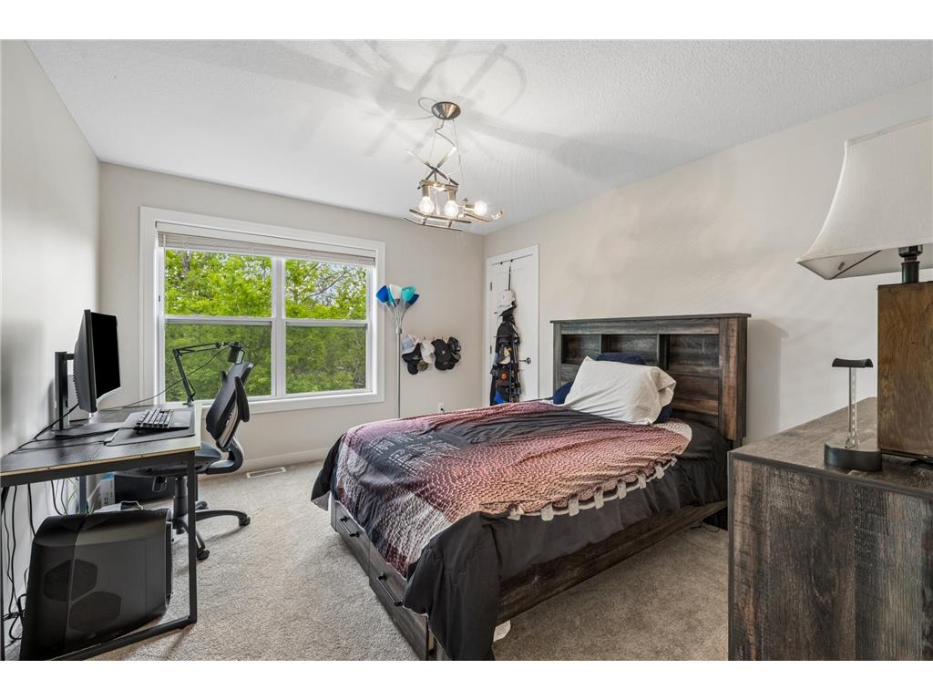 4704 S Lake Sarah Drive Independence MN 55359 - Sarah 7077893 image47