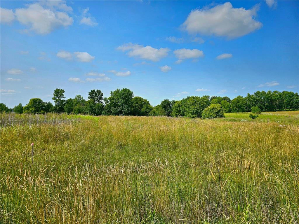 470XX 374th Ave [E] Frazee MN 56544 6587214 image1