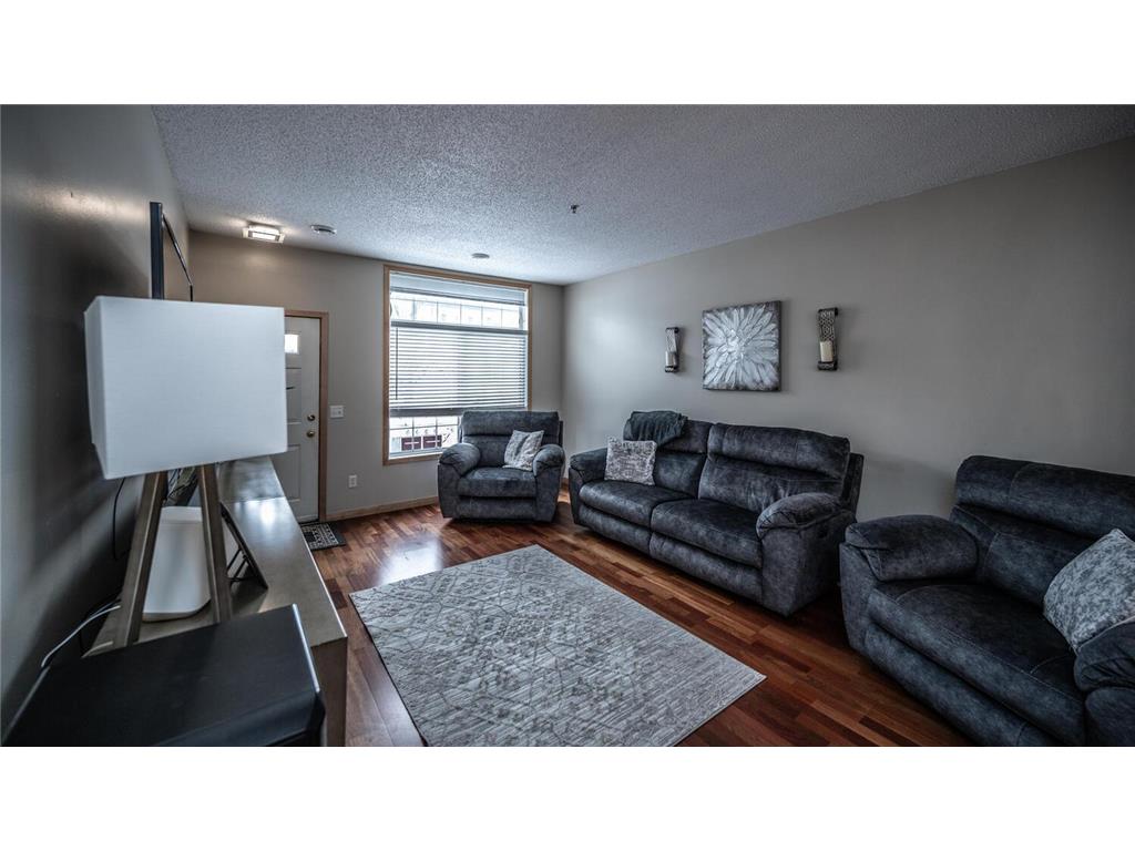 471 Frederick Circle #1503 Hastings MN 55033 6821865 image7