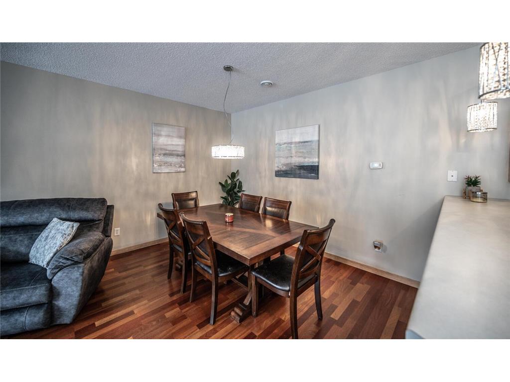 471 Frederick Circle #1503 Hastings MN 55033 6821865 image8