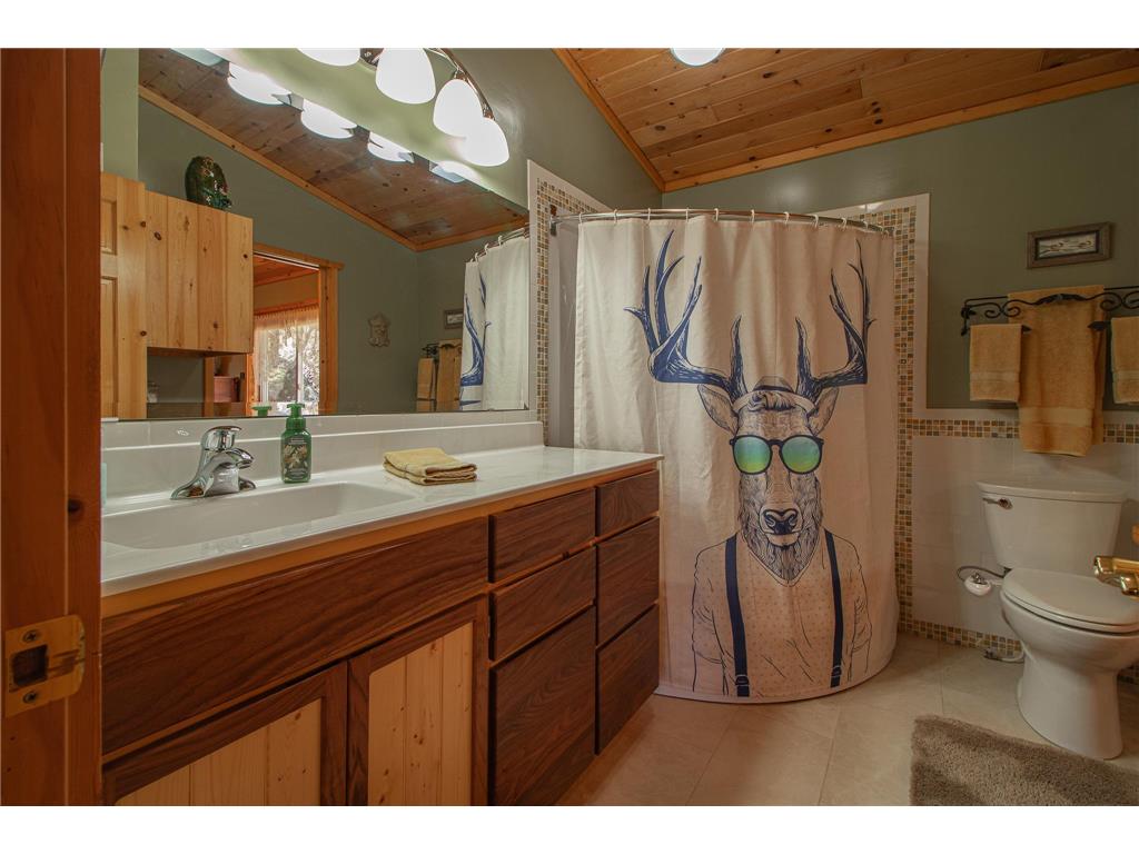 4711 Twin Pines Trail NW Woodrow Twp MN 56452 - Man 7068160 image19