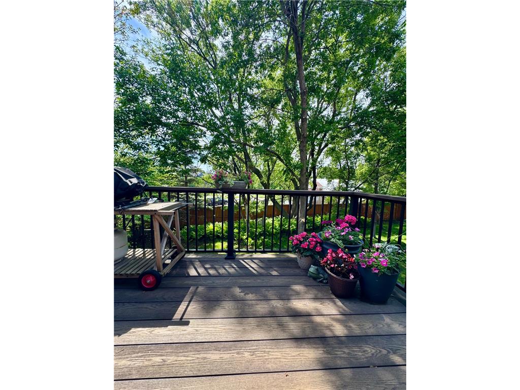 4711 Walnut Grove Lane N Plymouth MN 55446 7085138 image30