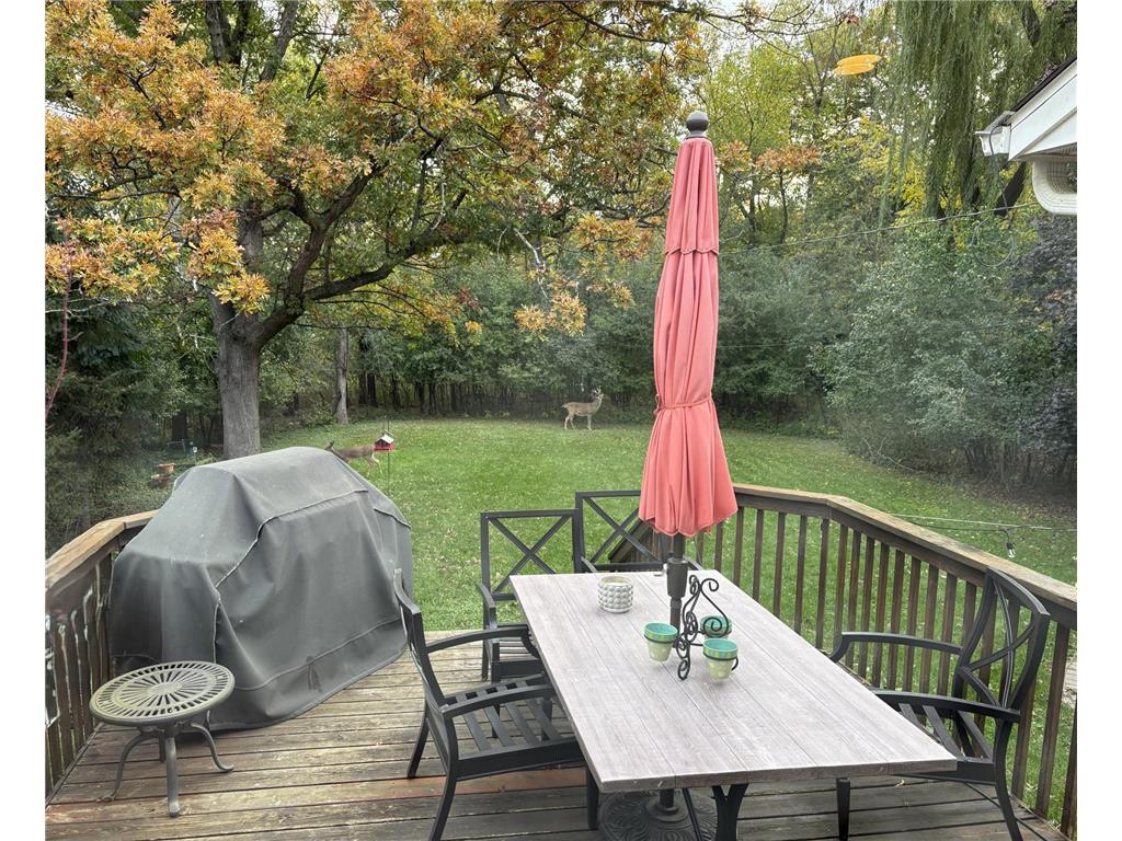 4713 Fairhills Road W Minnetonka MN 55345 7079202 image45