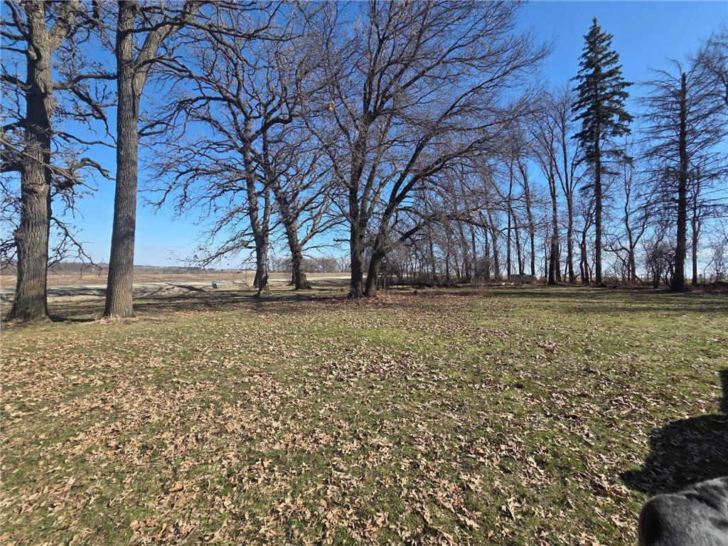 47155 Monkey Valley Hollow Kenyon Twp MN 55946 7040449 image5