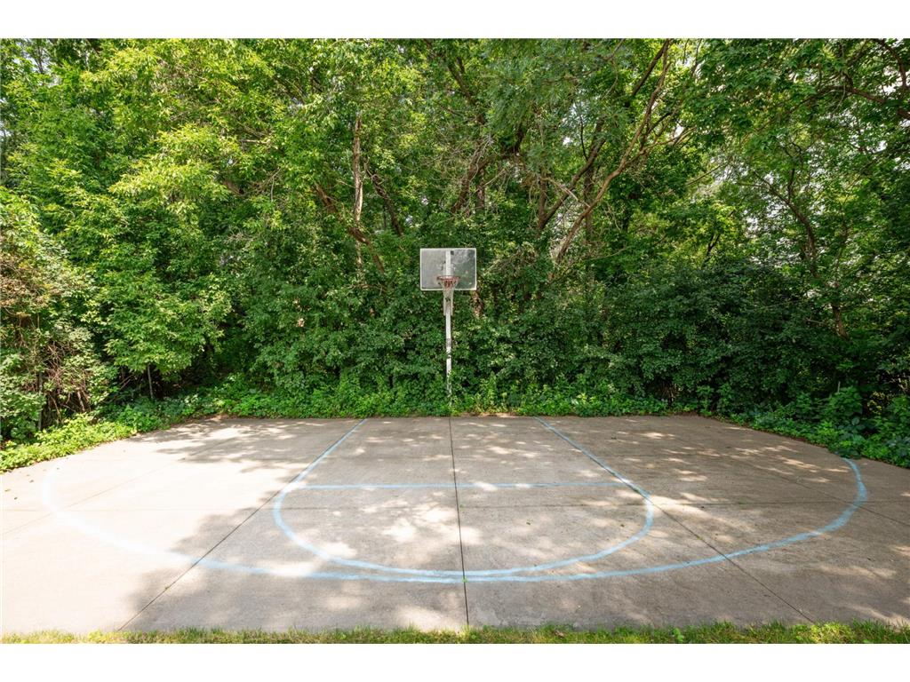 4720 Goldenrod Lane N Plymouth MN 55442 - Schmidt 6816734 image45