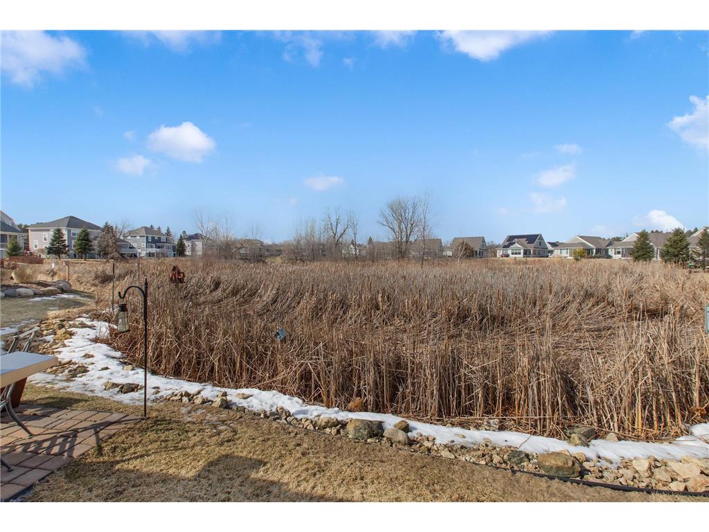 4725 Fable Road N Hugo MN 55038 7032686 image53