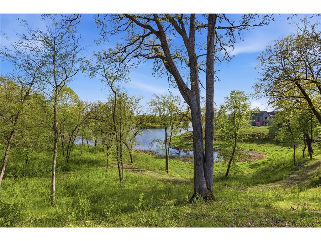 4725 Linden Cove Lane Savage MN 55378 - Hanrahan 7066463 image57