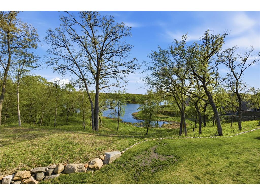 4725 Linden Cove Lane Savage MN 55378 - Hanrahan 7066463 image58