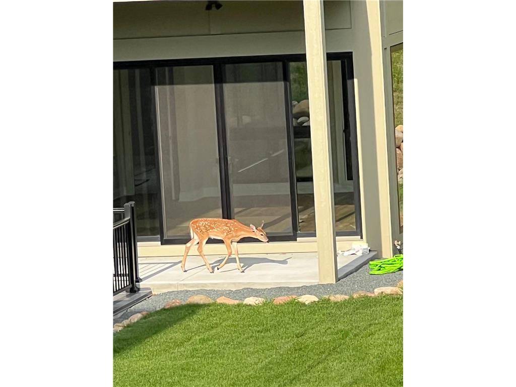 4729 Linden Cove Lane Savage MN 55378 - Hanrahan 6707473 image43