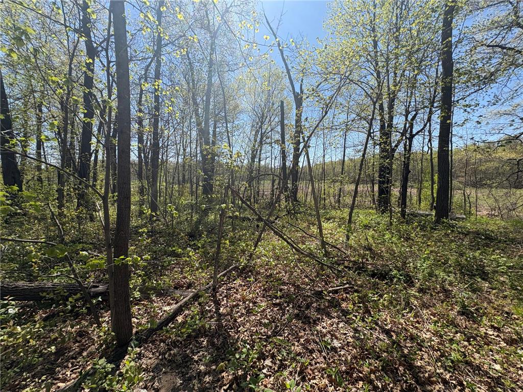 47292 Baffie Bend Kathio Twp MN 56450 7067836 image16
