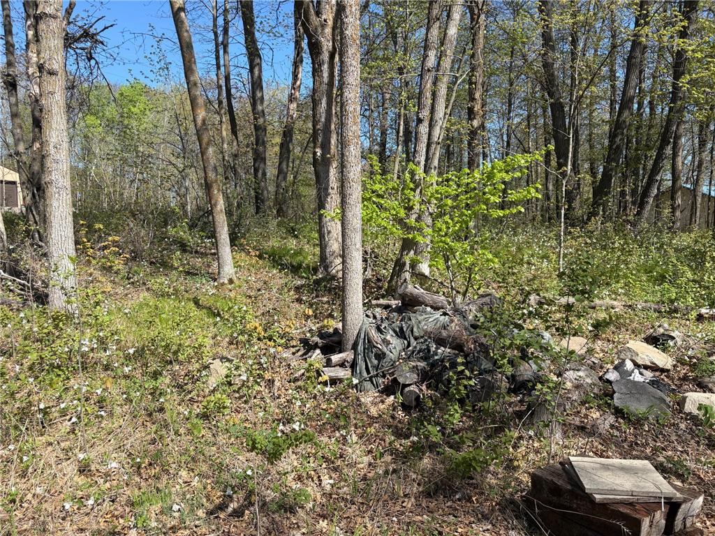 47292 Baffie Bend Kathio Twp MN 56450 7067836 image17