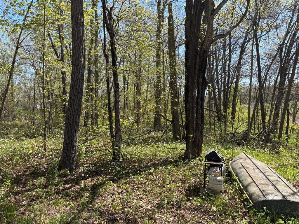 47292 Baffie Bend Kathio Twp MN 56450 7067836 image18