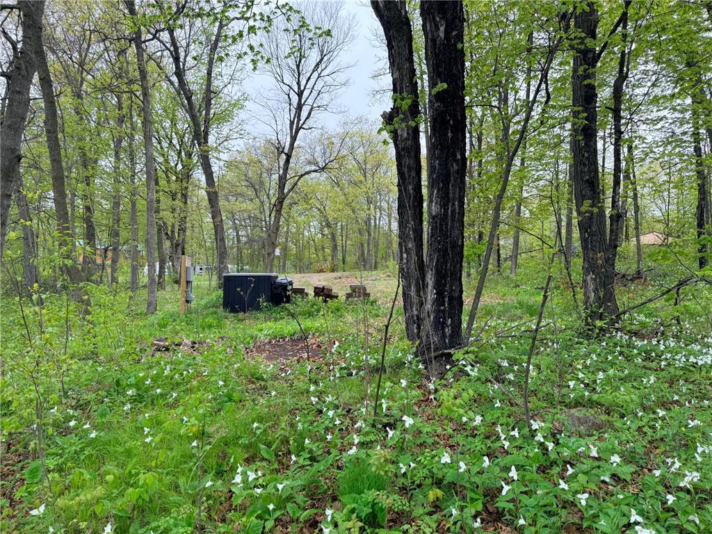 47292 Baffie Bend Kathio Twp MN 56450 7067836 image24