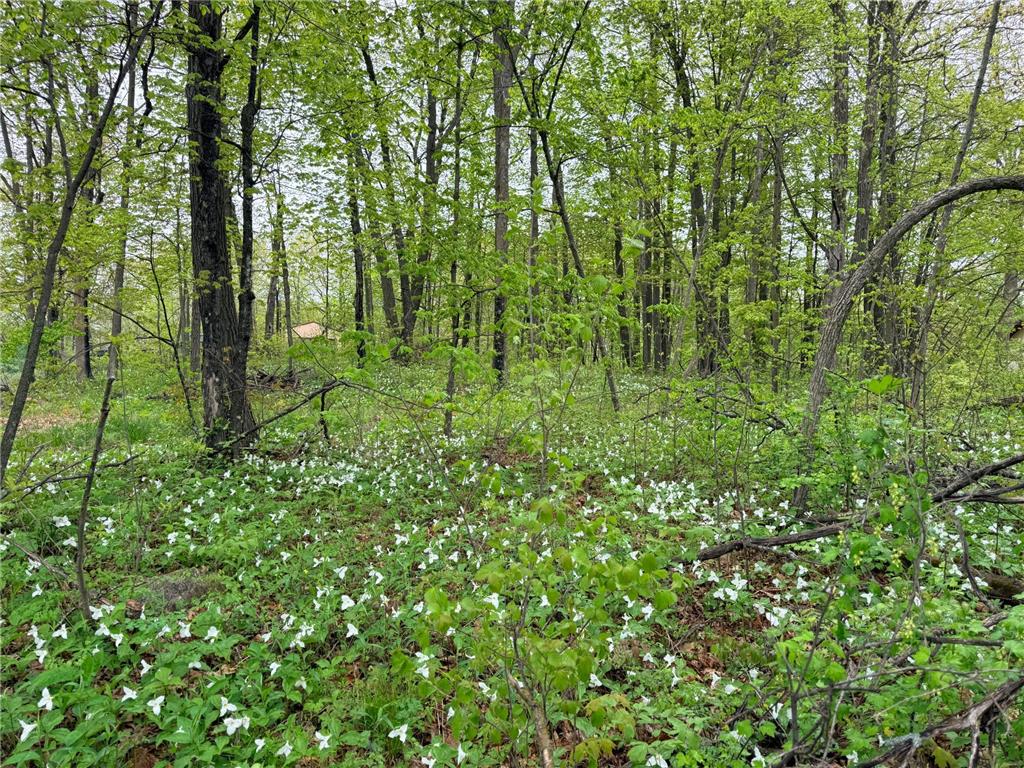 47292 Baffie Bend Kathio Twp MN 56450 7067836 image25