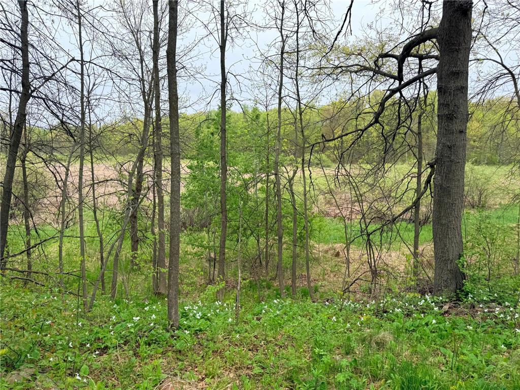 47292 Baffie Bend Kathio Twp MN 56450 7067836 image26