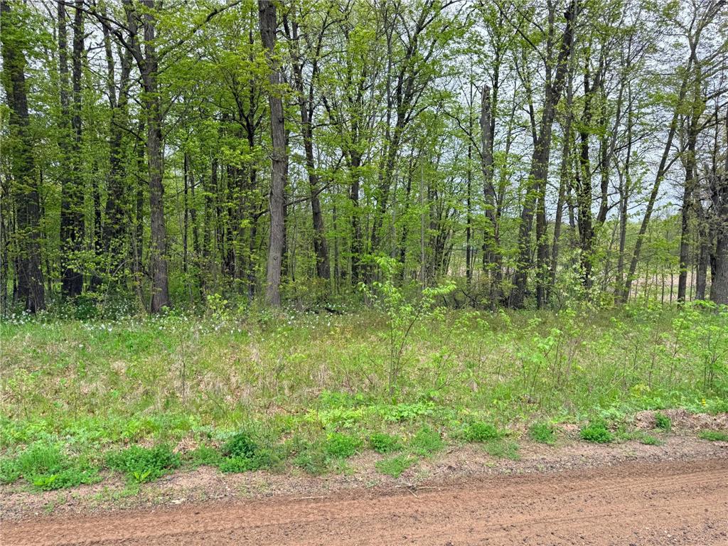47292 Baffie Bend Kathio Twp MN 56450 7067836 image28