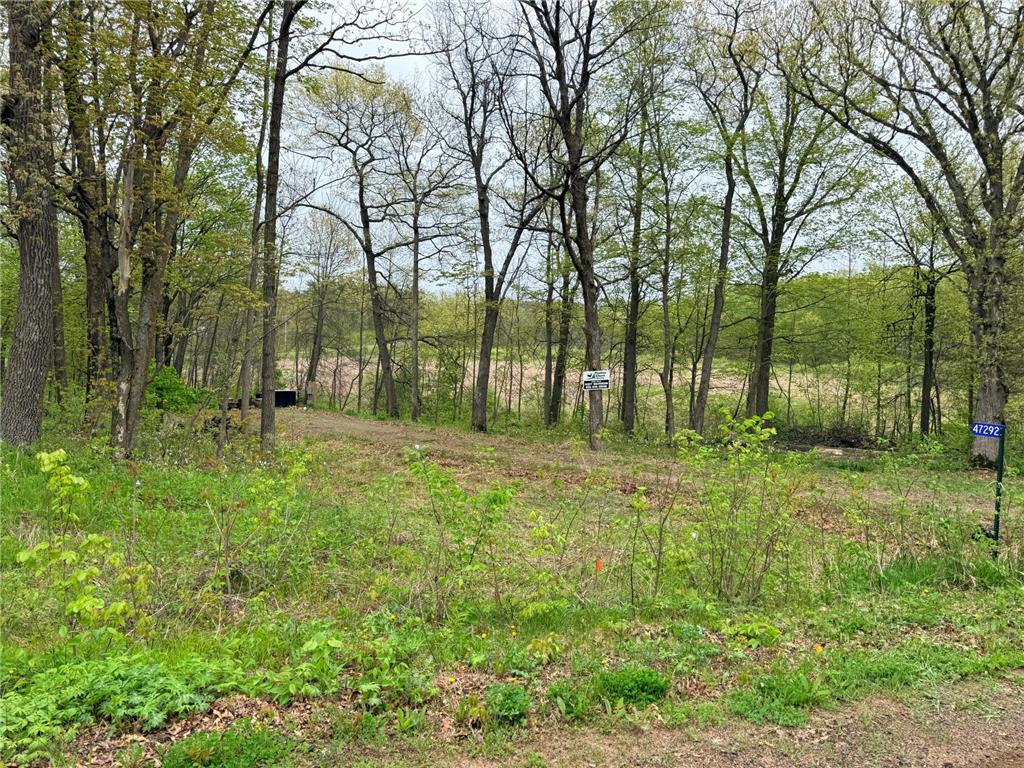 47292 Baffie Bend Kathio Twp MN 56450 7067836 image29