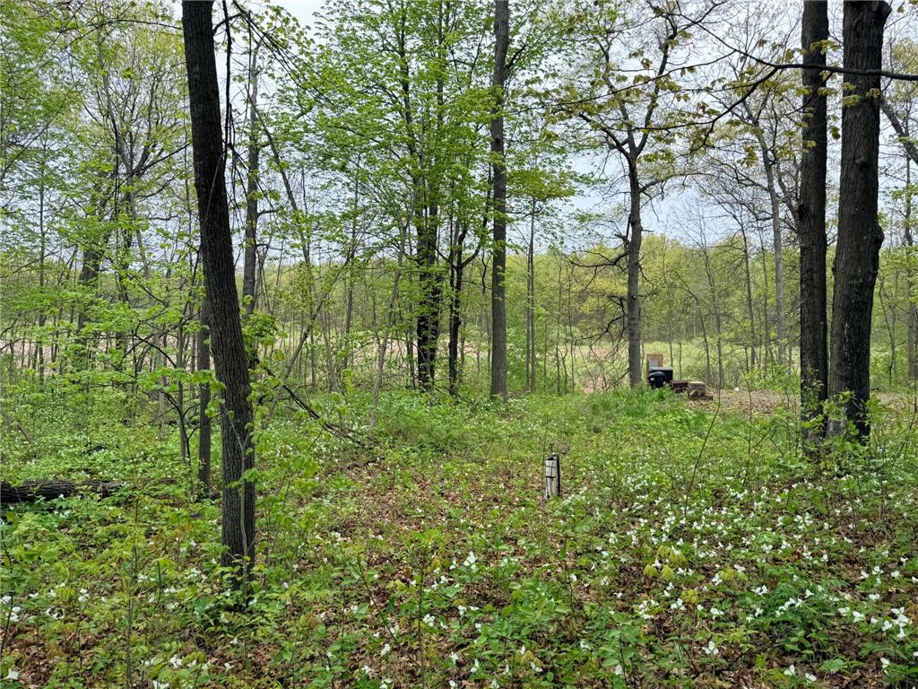 47292 Baffie Bend Kathio Twp MN 56450 7067836 image30
