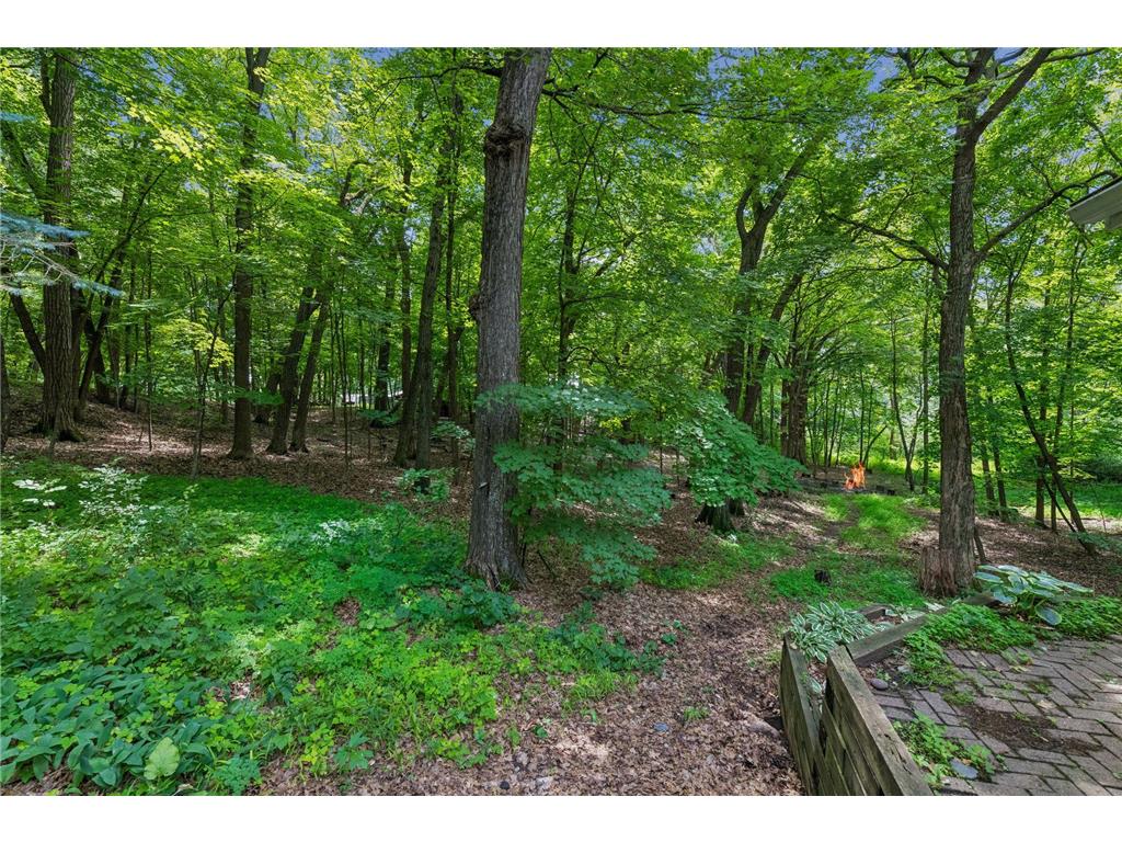 4730 N Arm Drive Orono MN 55364 7103680 image42