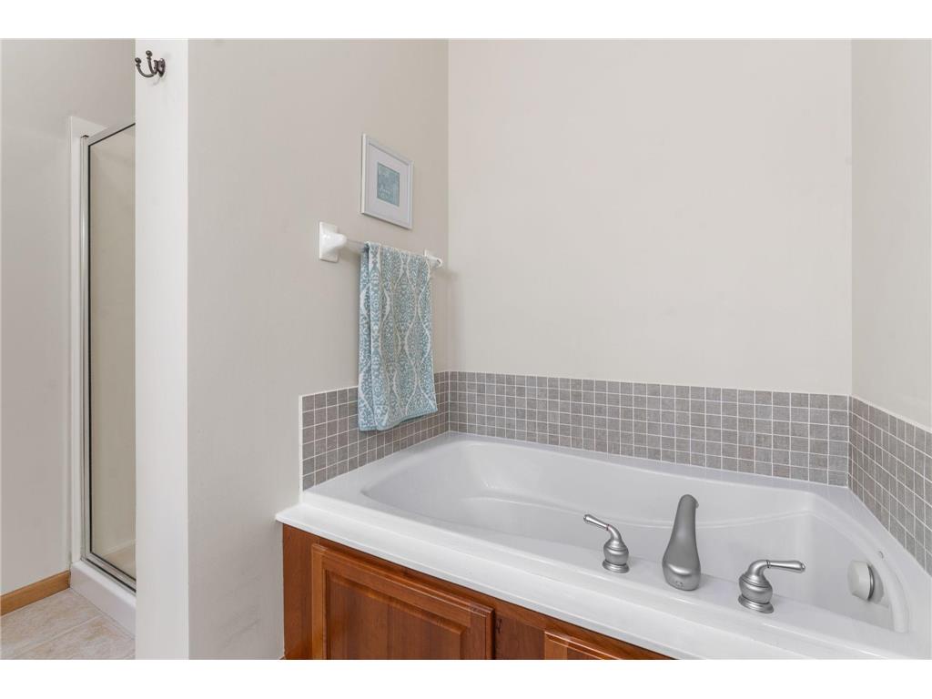 4730 Walnut Grove Lane N Plymouth MN 55446 7082830 image29